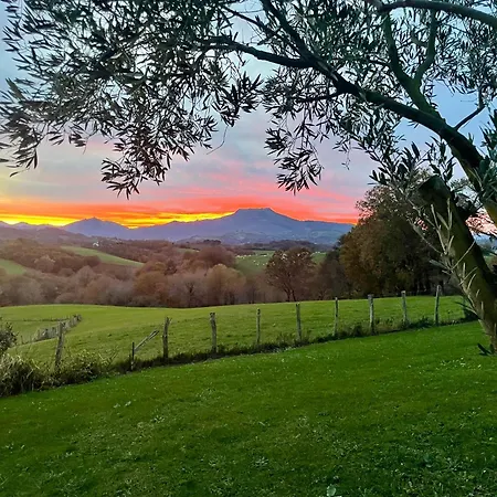 Apartman Le Jardin D'opporak